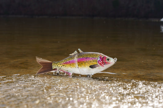 6" The Trick Rainbow Trout Cali Glide Swimbait