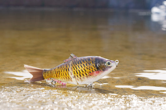 6" The Trick Carp Cali Glide Swimbait