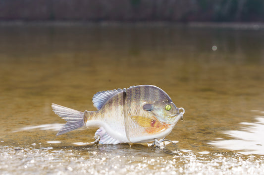 5" Twitch Twitch Boom Baby Bluegill