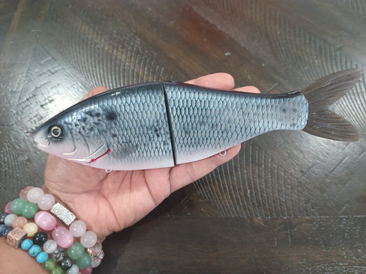 8.5" Color Changing Gizzard Shad Handmade Swimbait