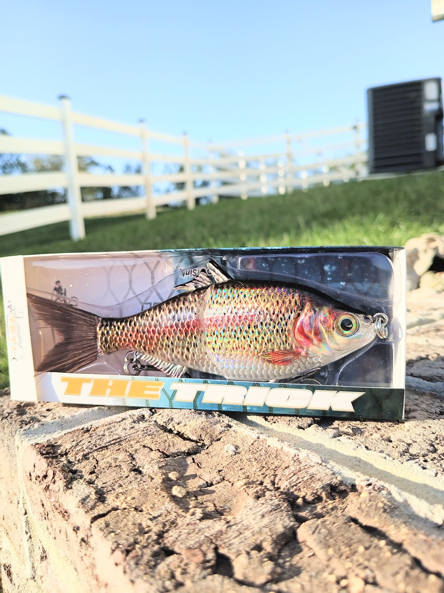 6" The Trick Holographic Trout Cali Glide Swimbait