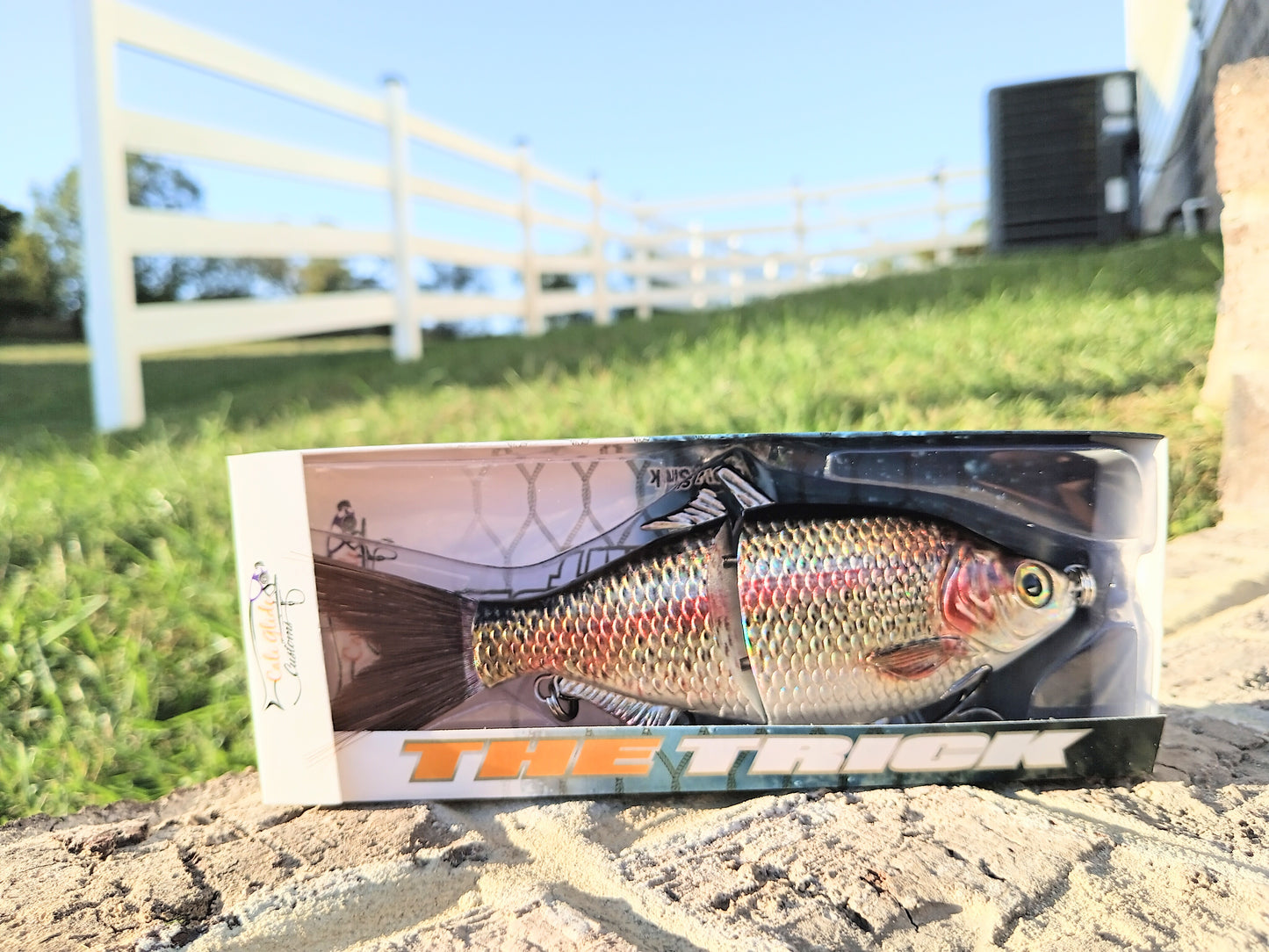 6" The Trick Holographic Trout Cali Glide Swimbait
