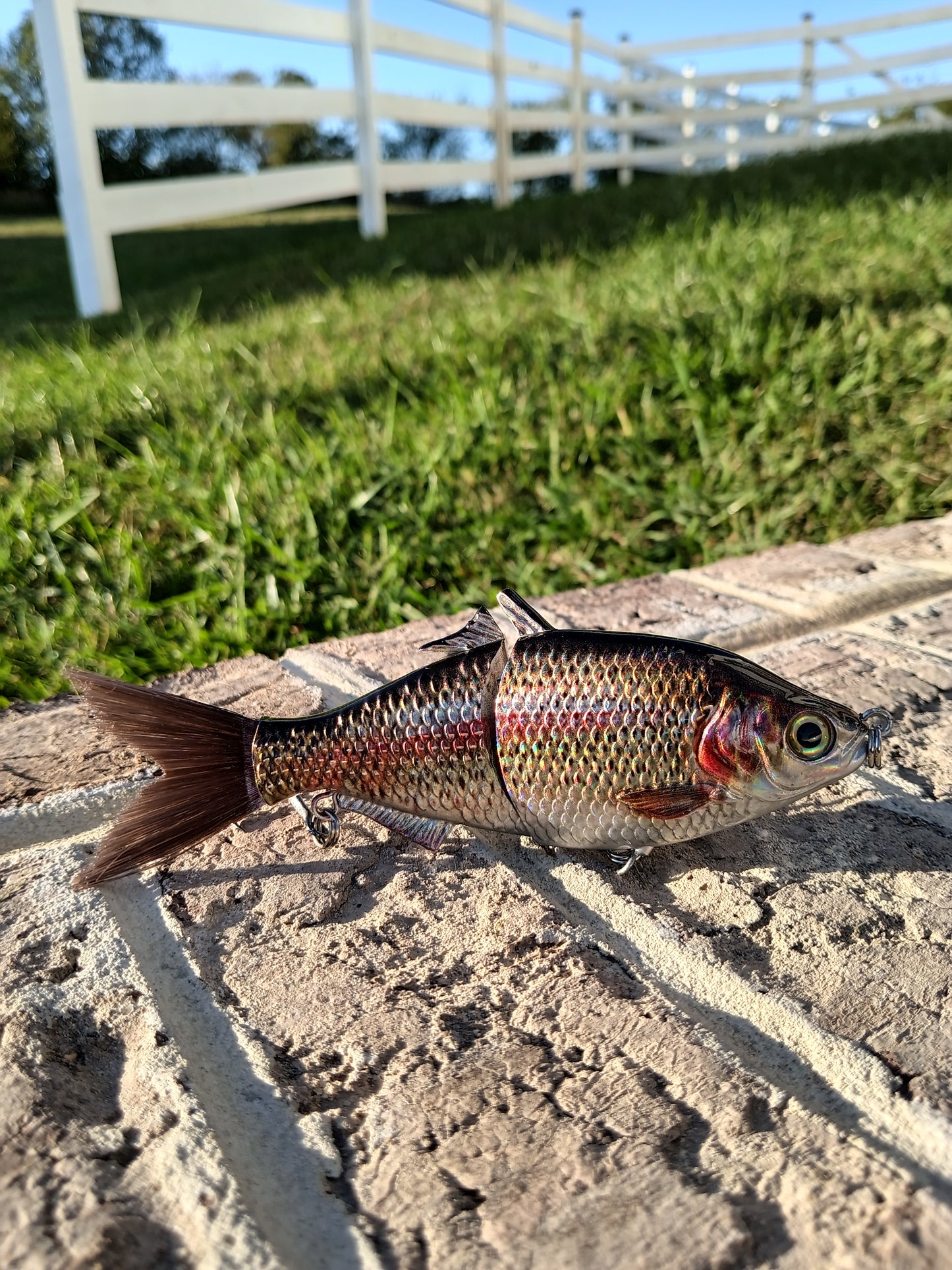 6" The Trick Holographic Trout Cali Glide Swimbait