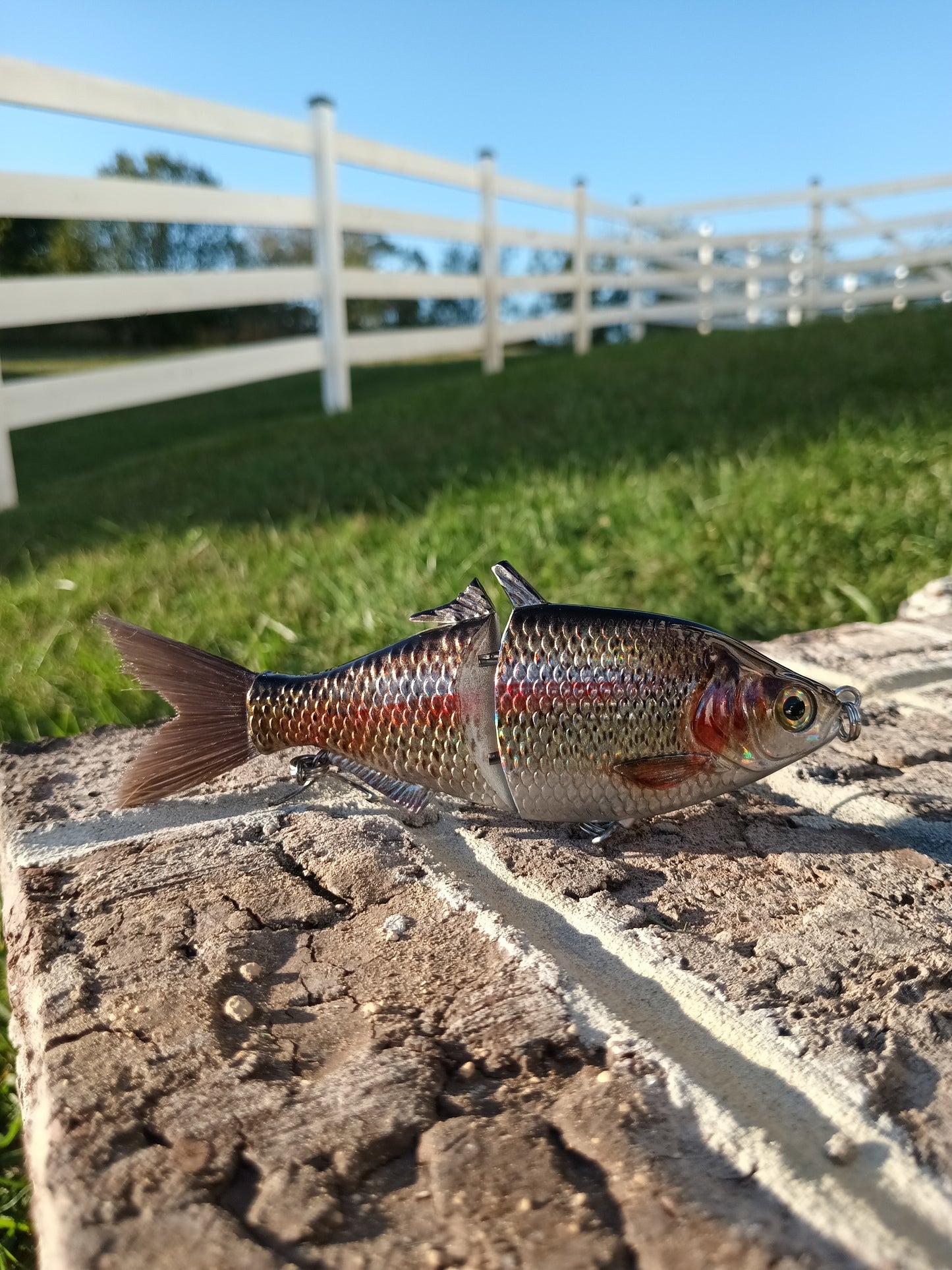 6" The Trick Holographic Trout Cali Glide Swimbait