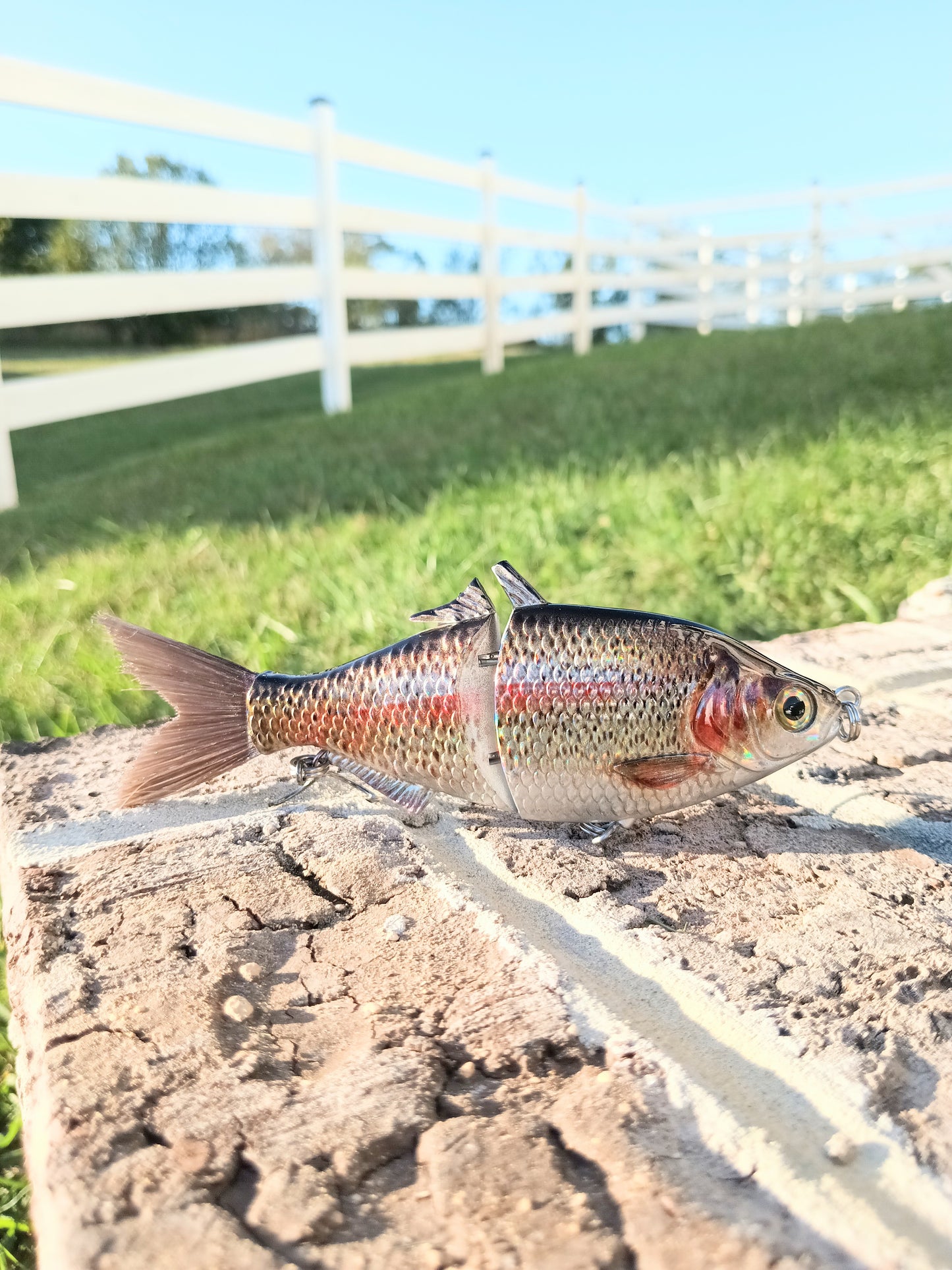 6" The Trick Holographic Trout Cali Glide Swimbait