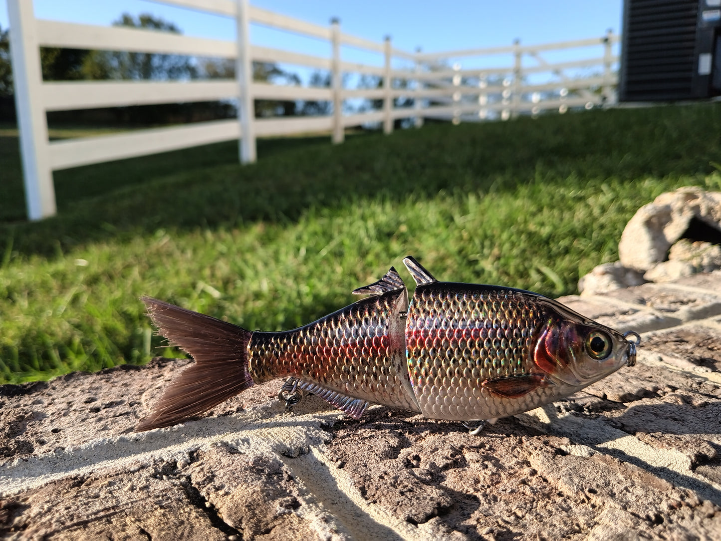 6" The Trick Holographic Trout Cali Glide Swimbait