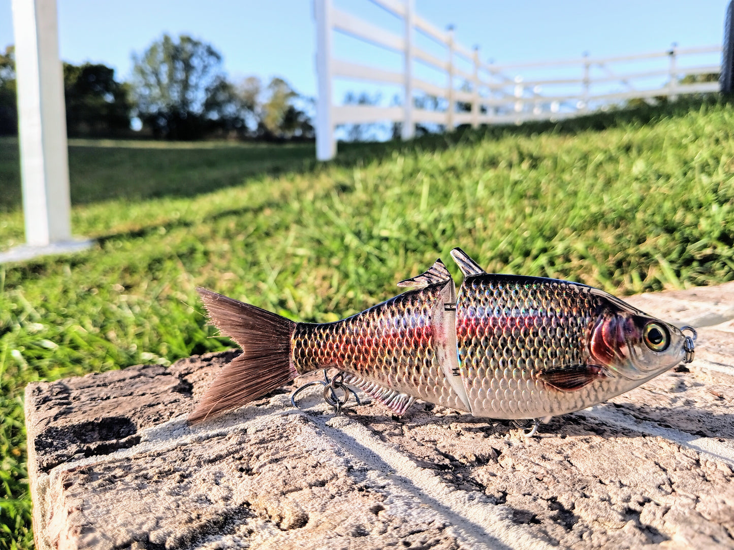 6" The Trick Holographic Trout Cali Glide Swimbait