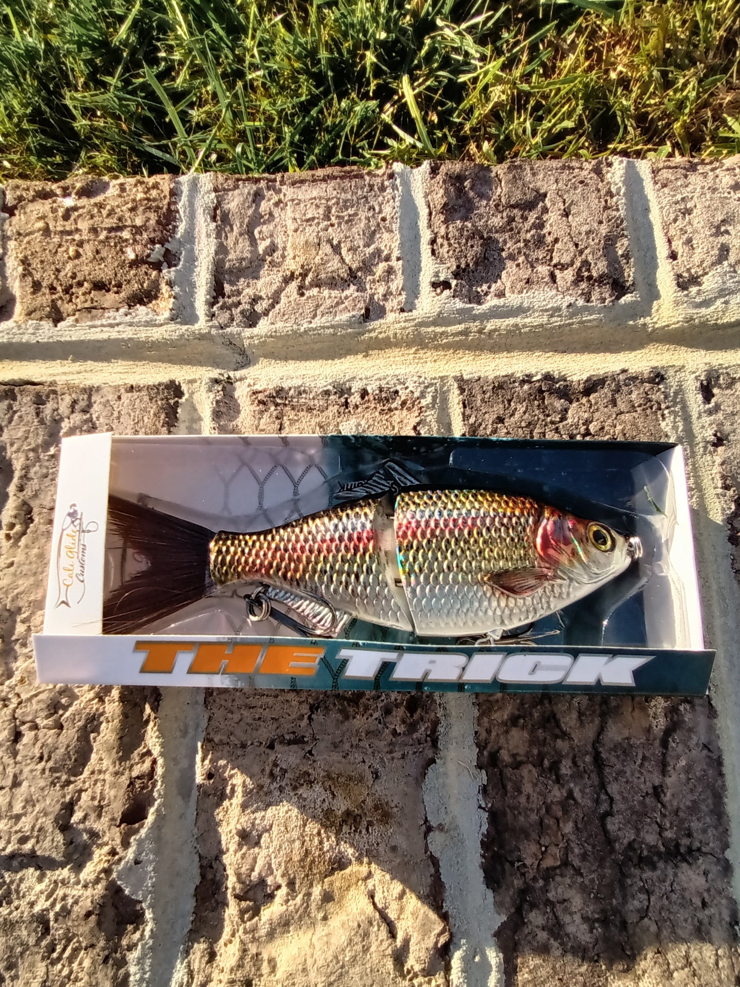 6" The Trick Holographic Trout Cali Glide Swimbait
