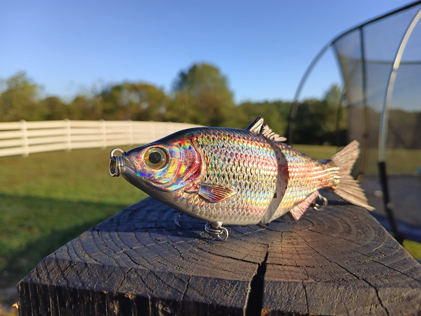 6" The Trick Holographic Trout Cali Glide Swimbait
