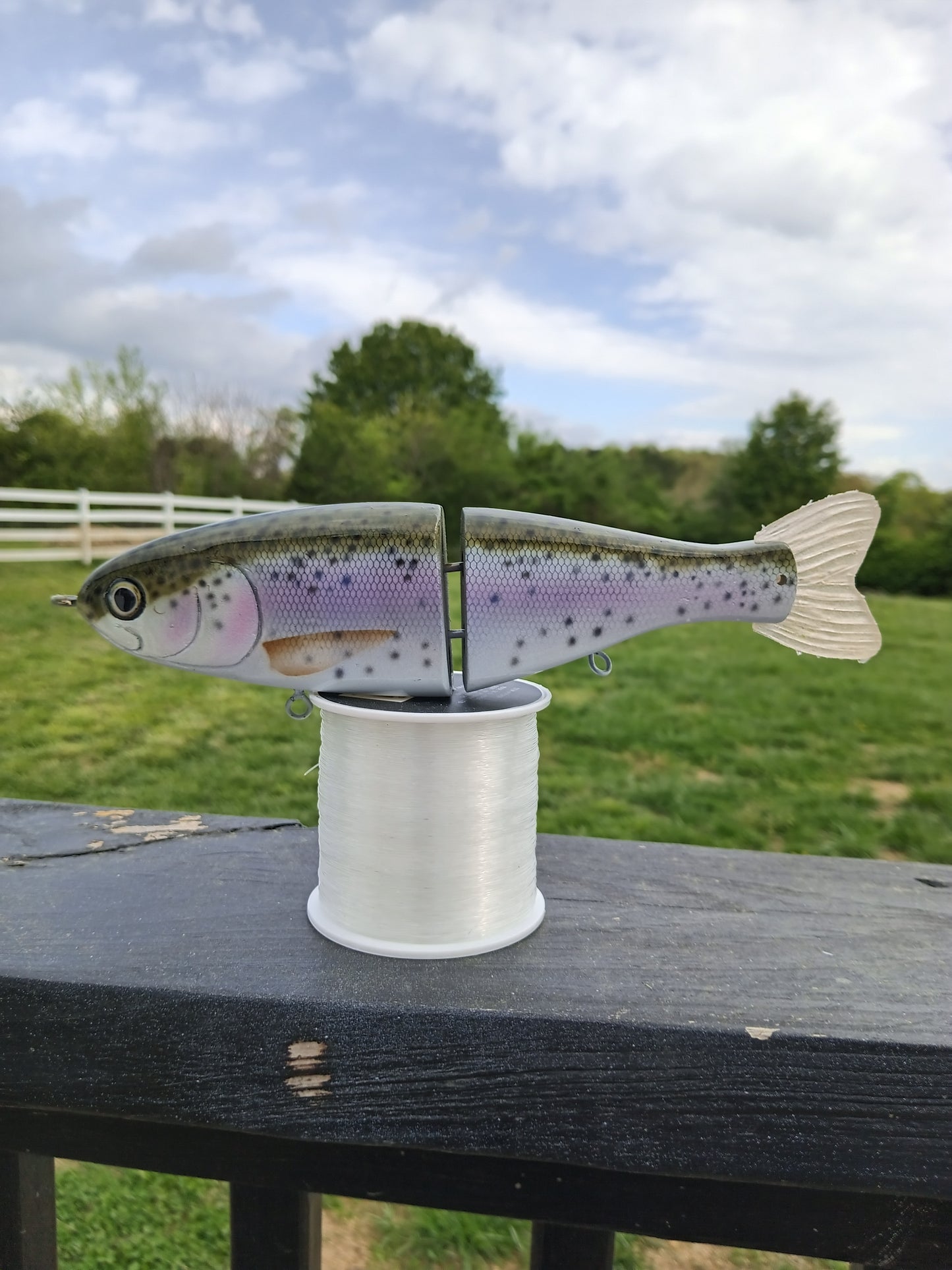 8" Rainbow Trout Handmade Glide Bait