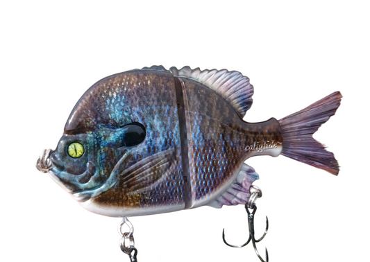5" Twitch Twitch Boom Baby Dark Bluegill