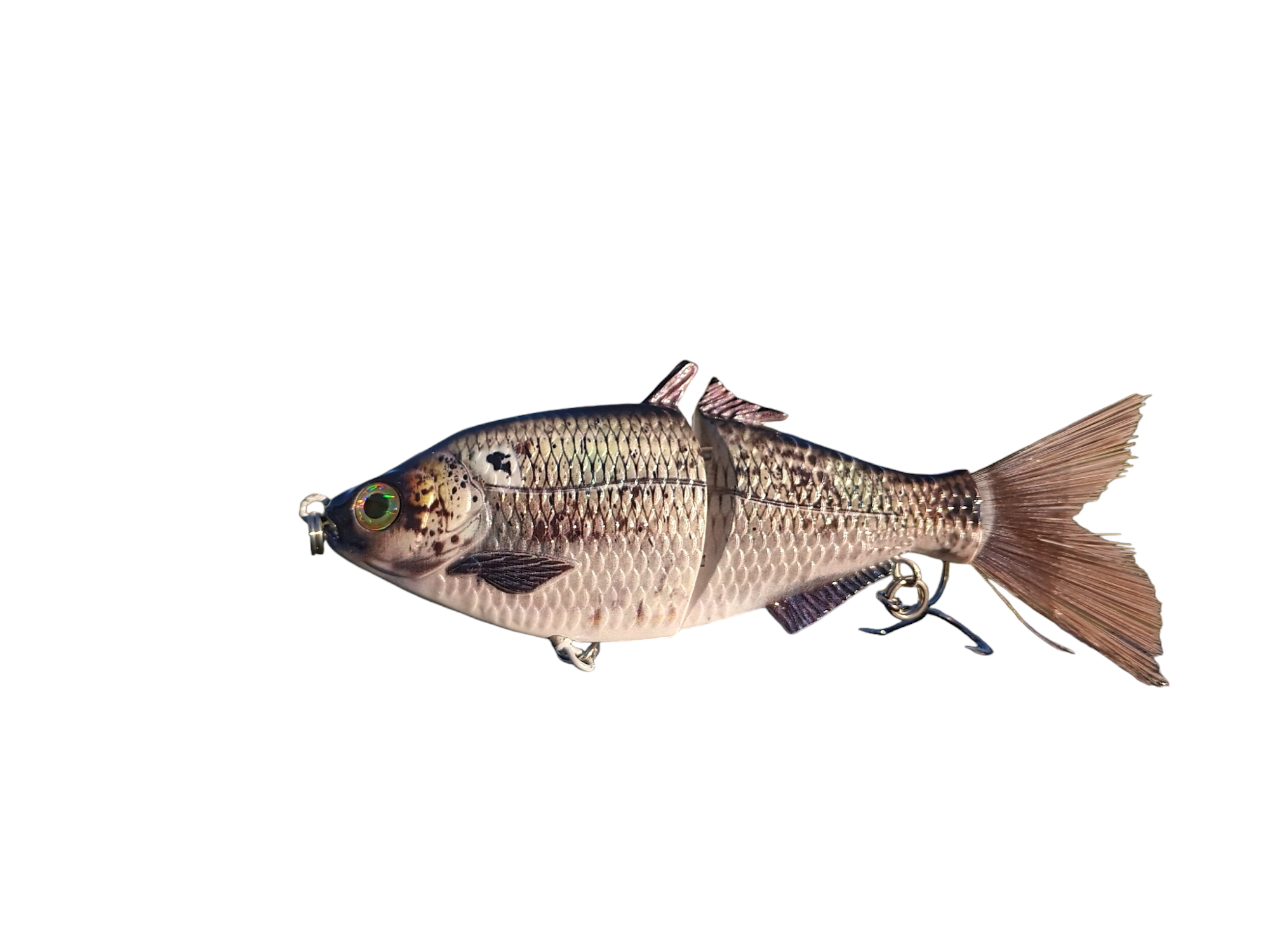 Trick Shad - Modern Outdoor Tackle