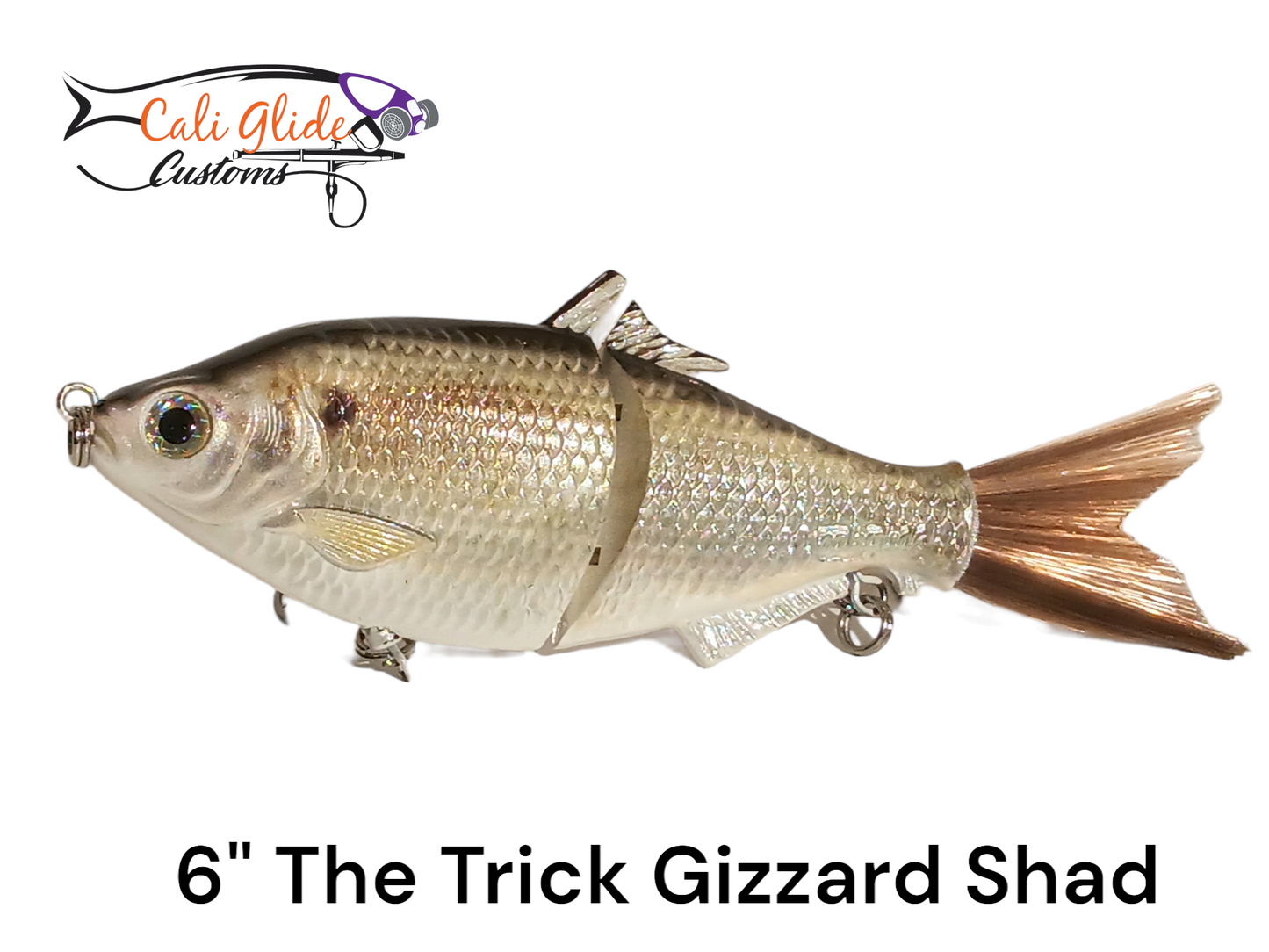 6" The Trick Gizzard Shad Cali Glide Swimbait