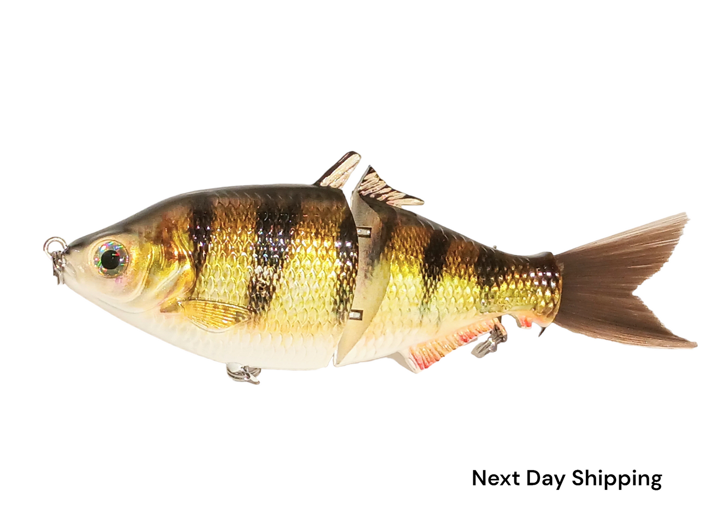 6" The Trick Perch Cali Glide Swimbait