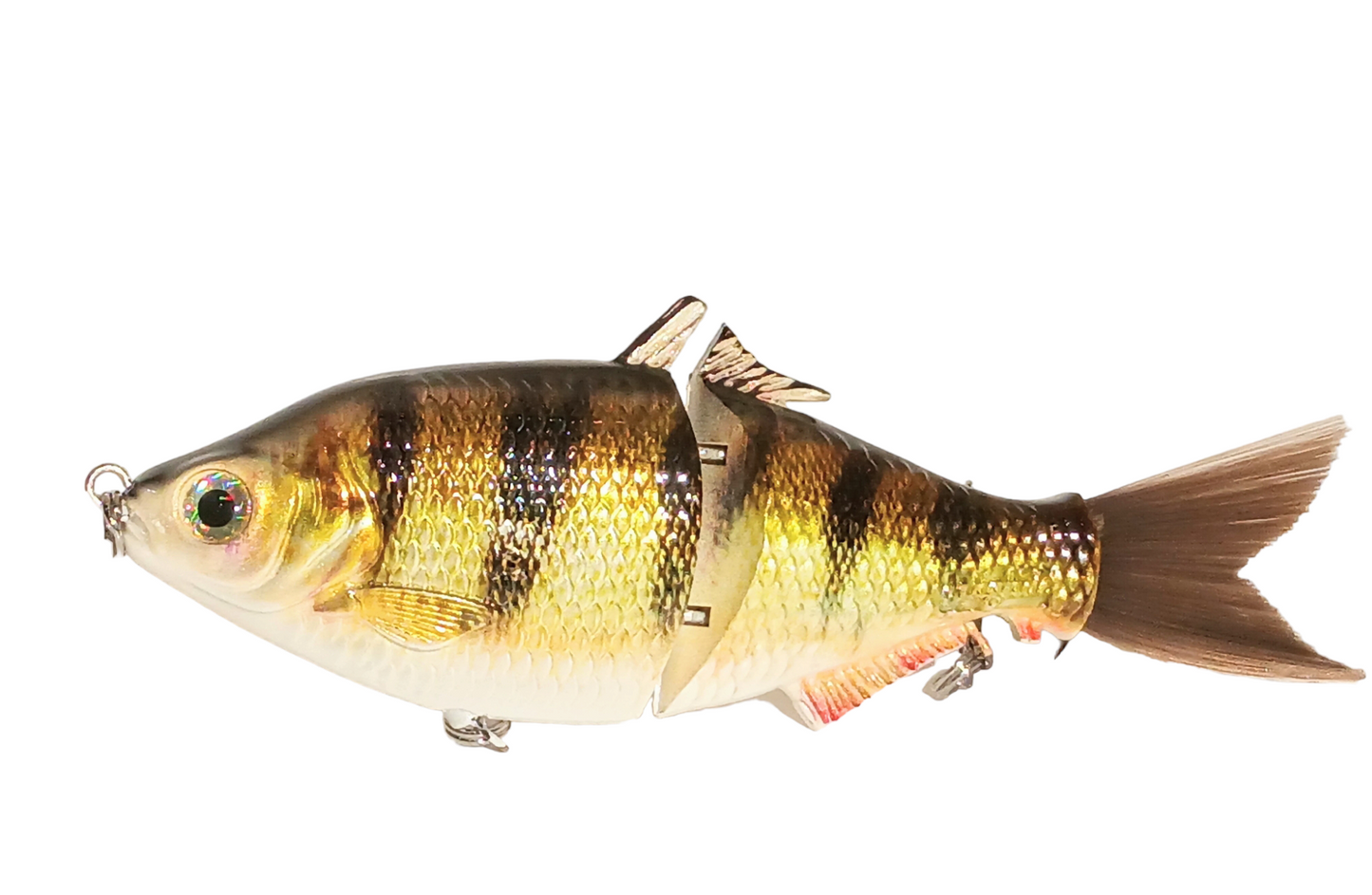 6" The Trick Perch Cali Glide Swimbait