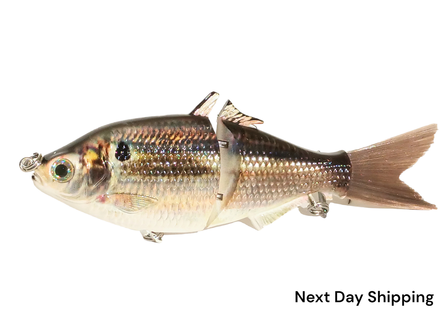 6" The Trick Thread Fin Shad Cali Glide Swimbait