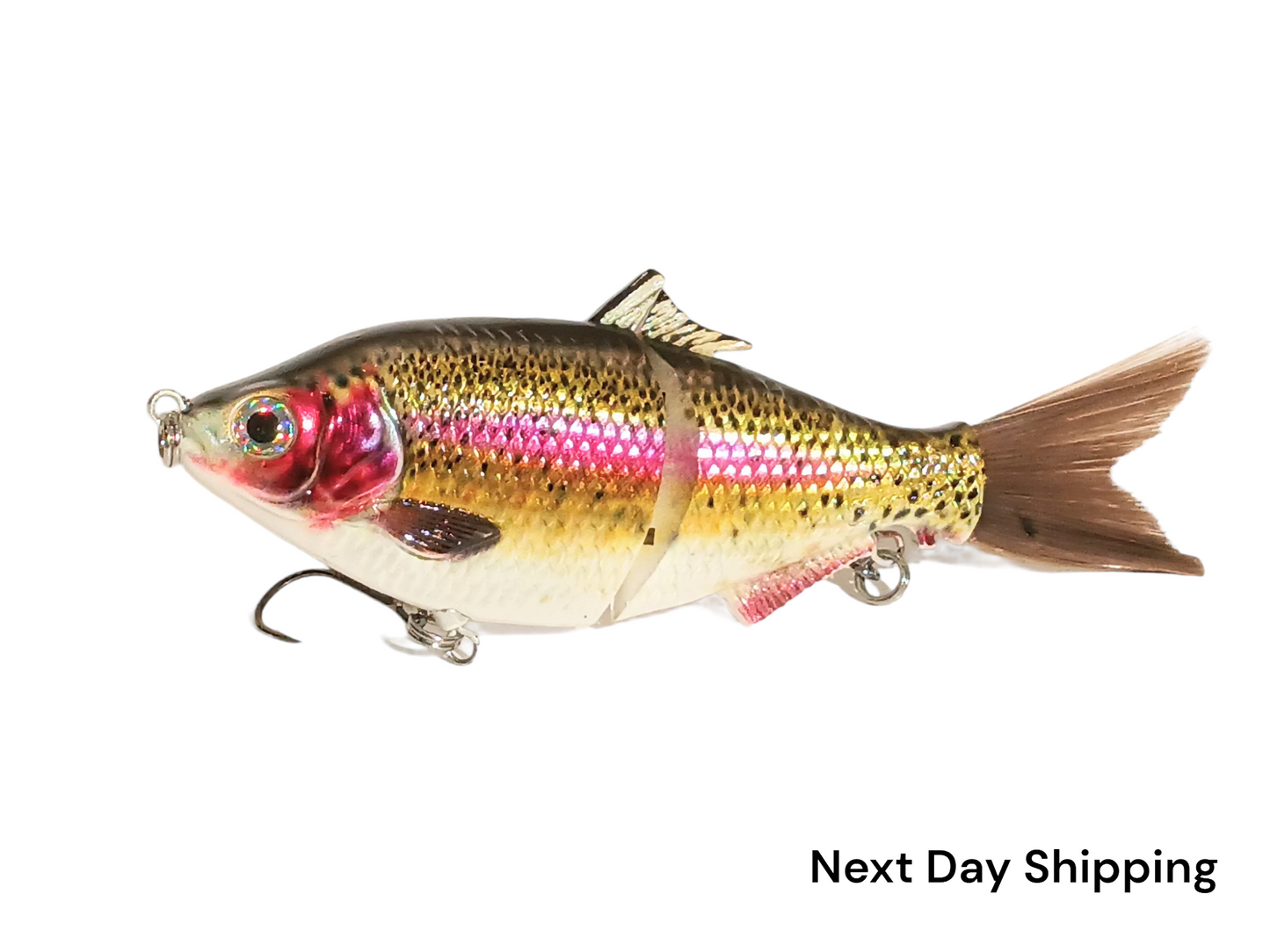 6" The Trick Rainbow Trout Cali Glide Swimbait