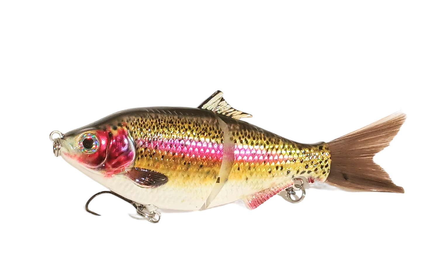 6" The Trick Rainbow Trout Cali Glide Swimbait