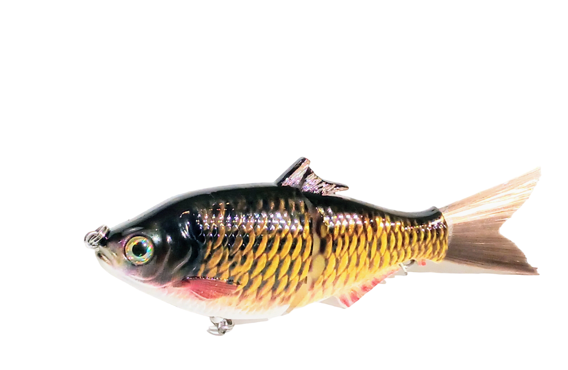 6 The Trick Rainbow Trout Cali Glide Swimbait – caliglideswimbaits