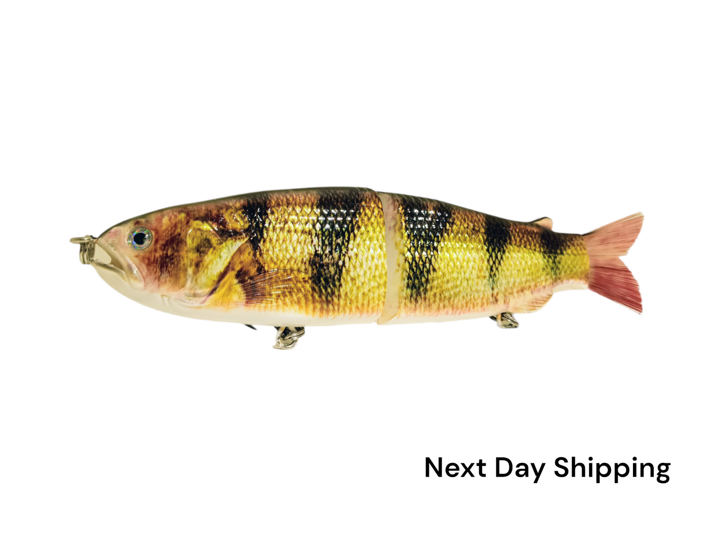 9" The Follow Perch Cali Glide Swimbait