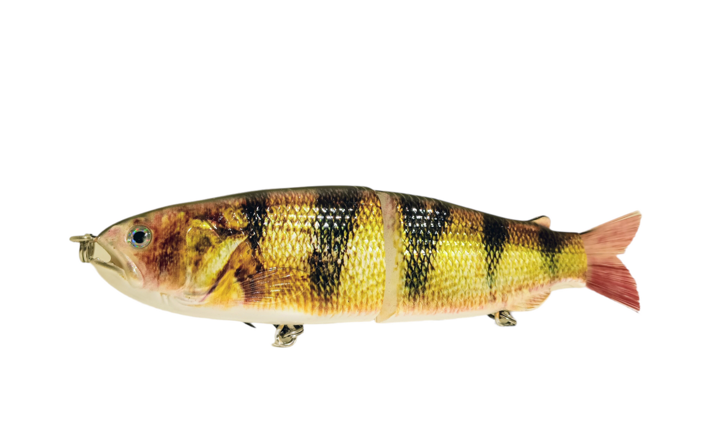 9" The Follow Perch Cali Glide Swimbait