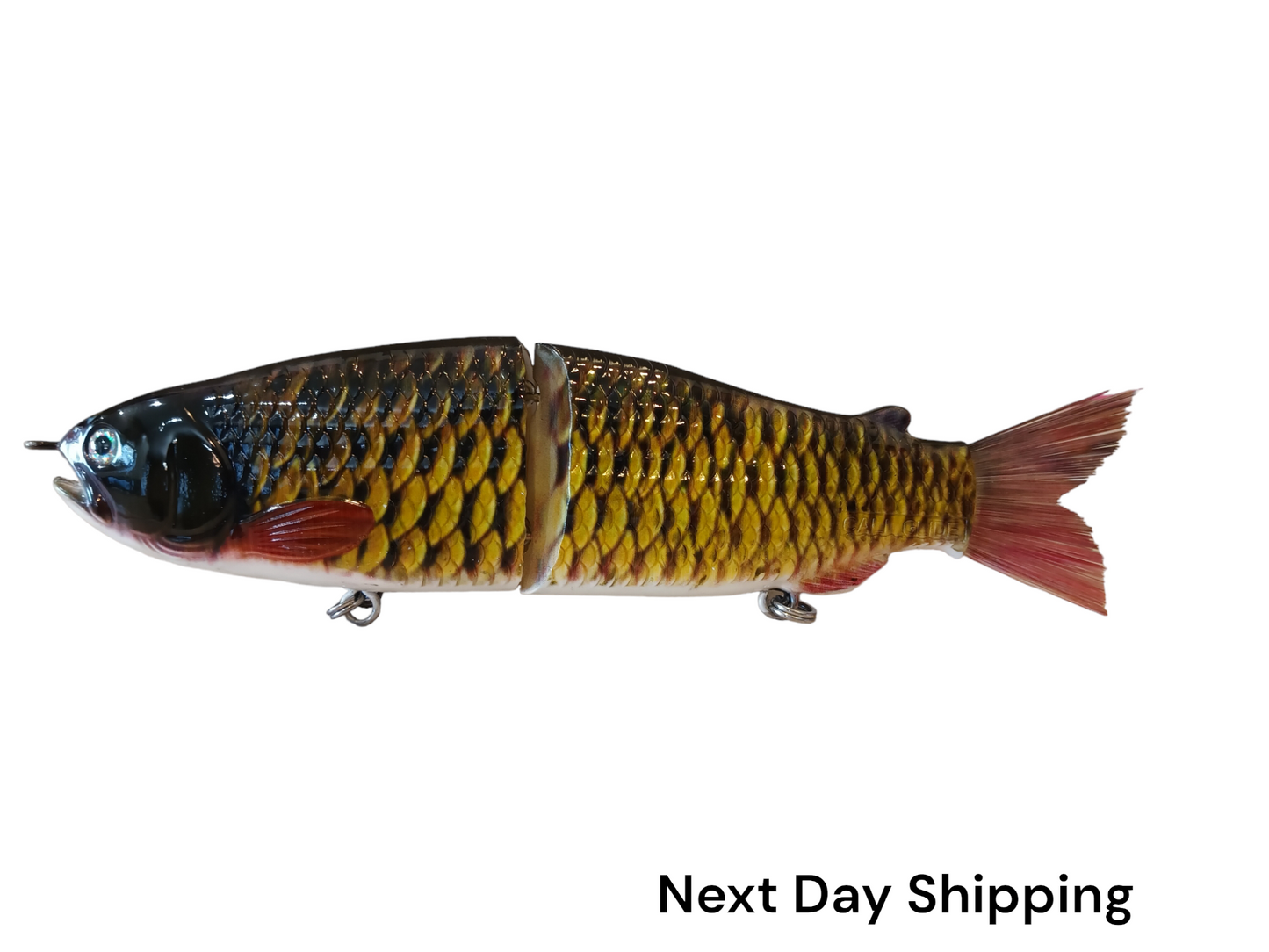 9" The Follow Carp Cali Glide Swimbait