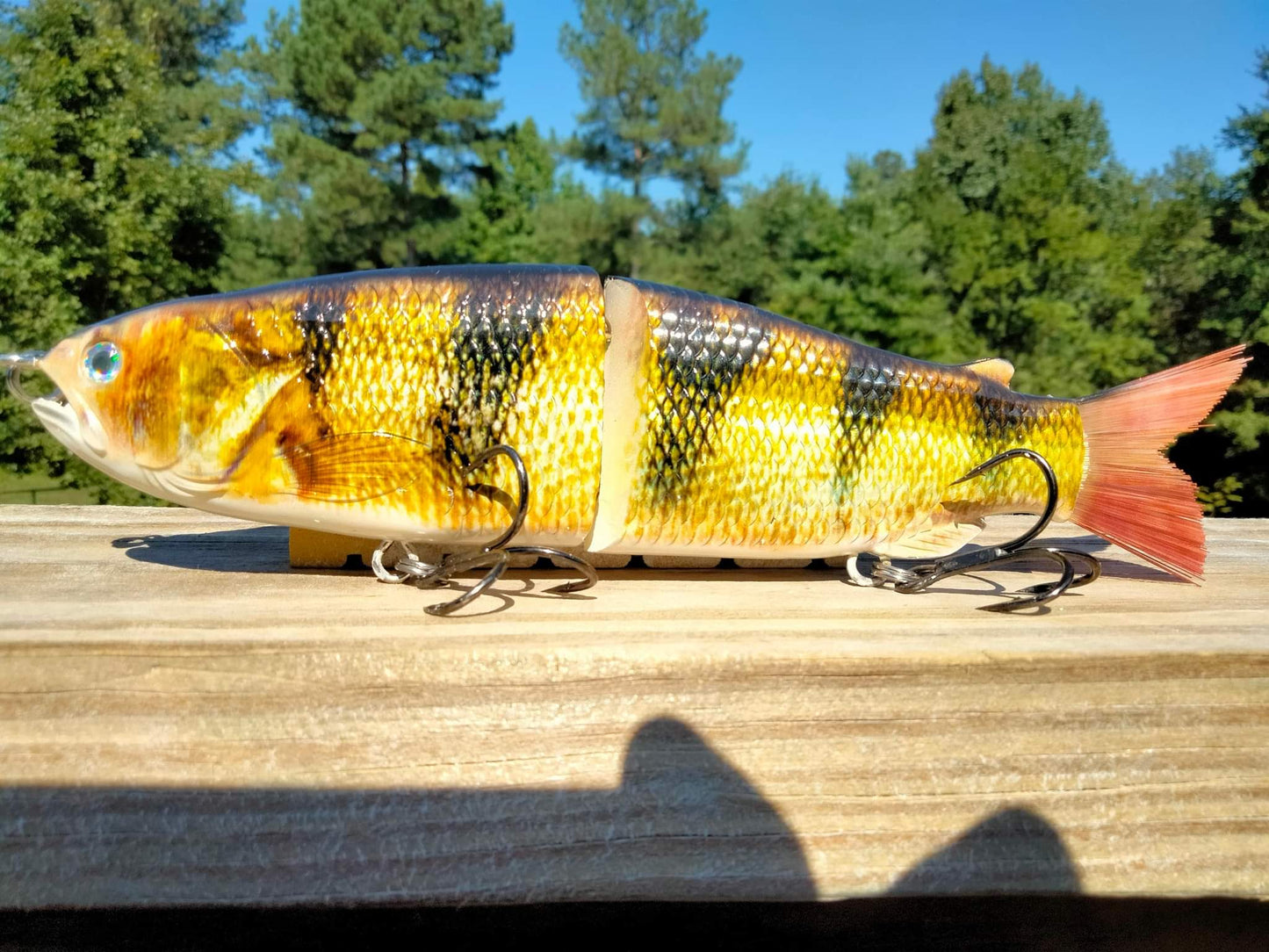 9" The Follow Perch Cali Glide Swimbait