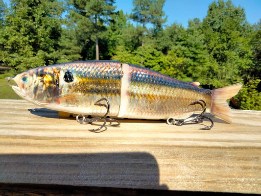 9" The Follow Thread Fin Shad Cali Glide Swimbait