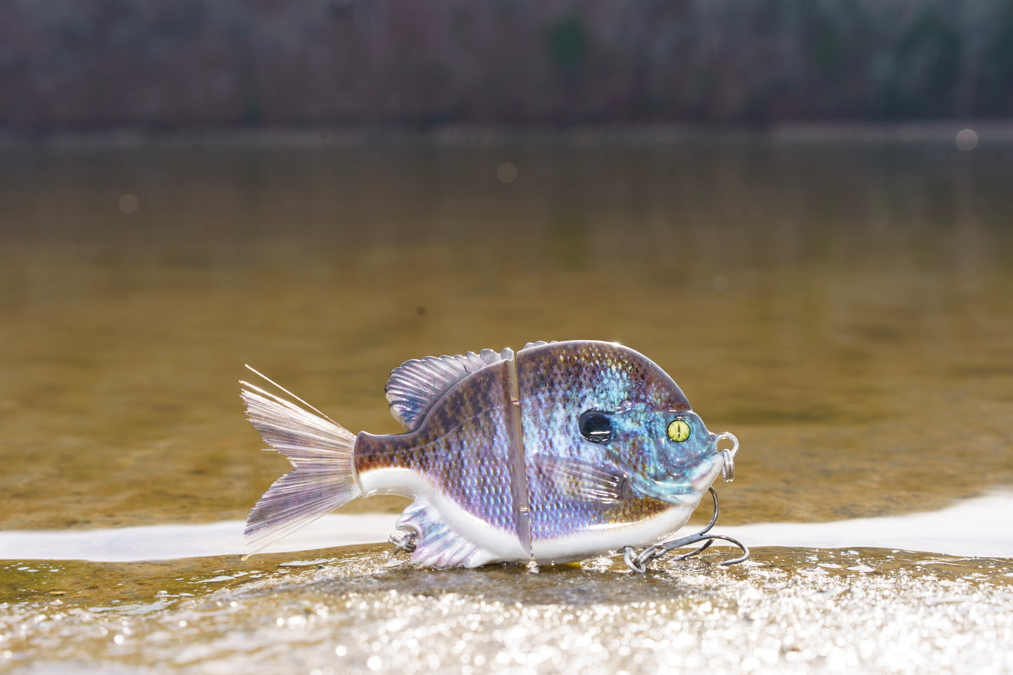 5" Twitch Twitch Boom Baby Dark Bluegill