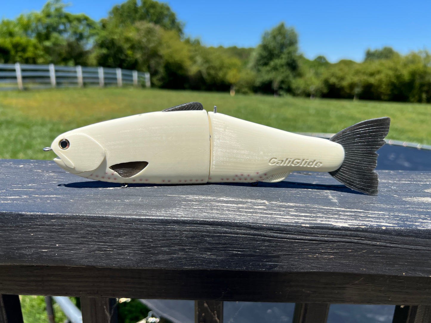 10" Inch Caliglide Blank Trout Handmade Swimbait