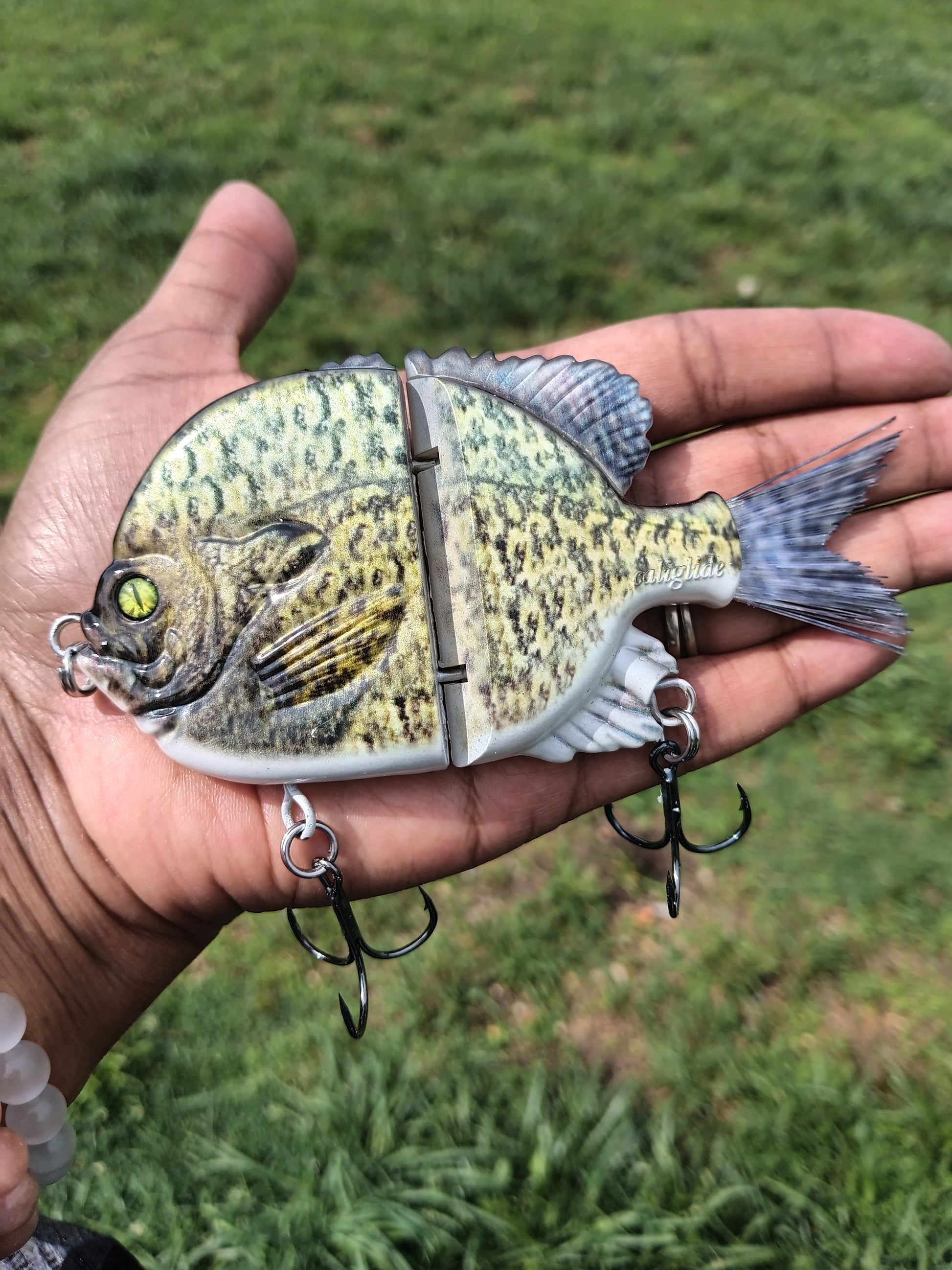 5 Twitch Twitch Boom Baby Spawning Crappie – caliglideswimbaits