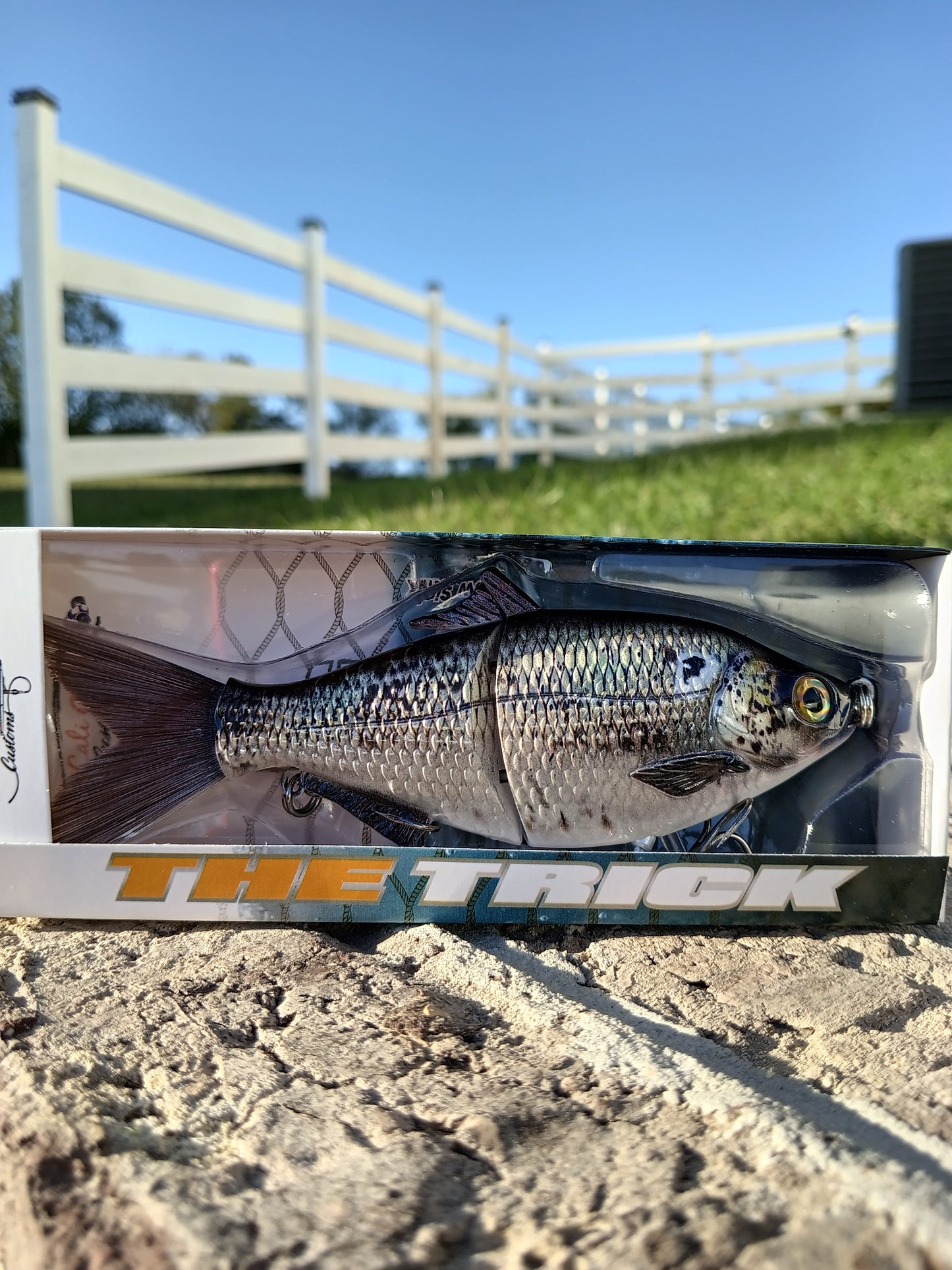 6" The Trick Gizzard Shad Cali Glide Swimbait