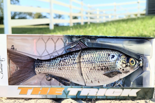 6" The Trick Gizzard Shad Cali Glide Swimbait