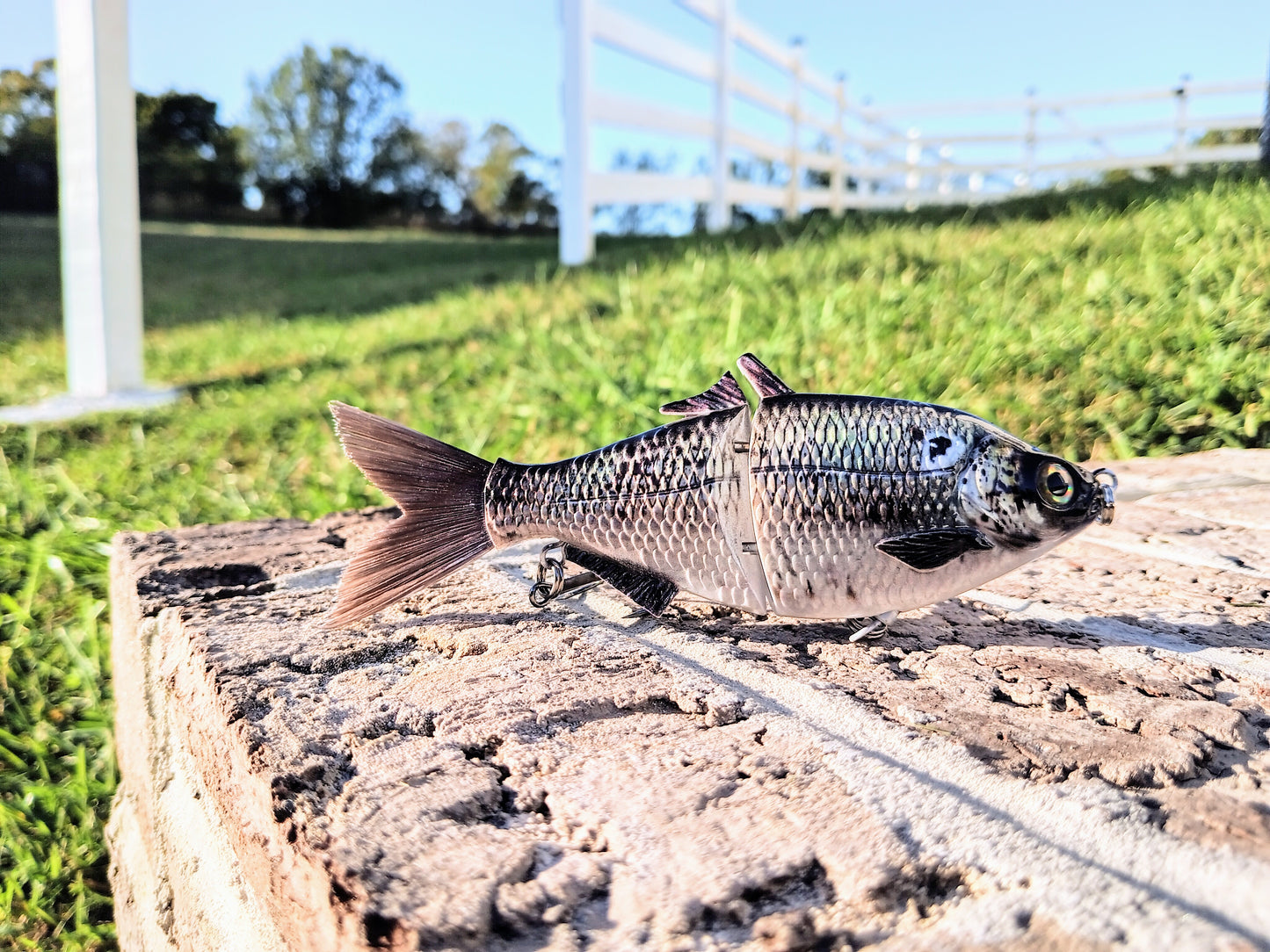 6" The Trick Gizzard Shad Cali Glide Swimbait