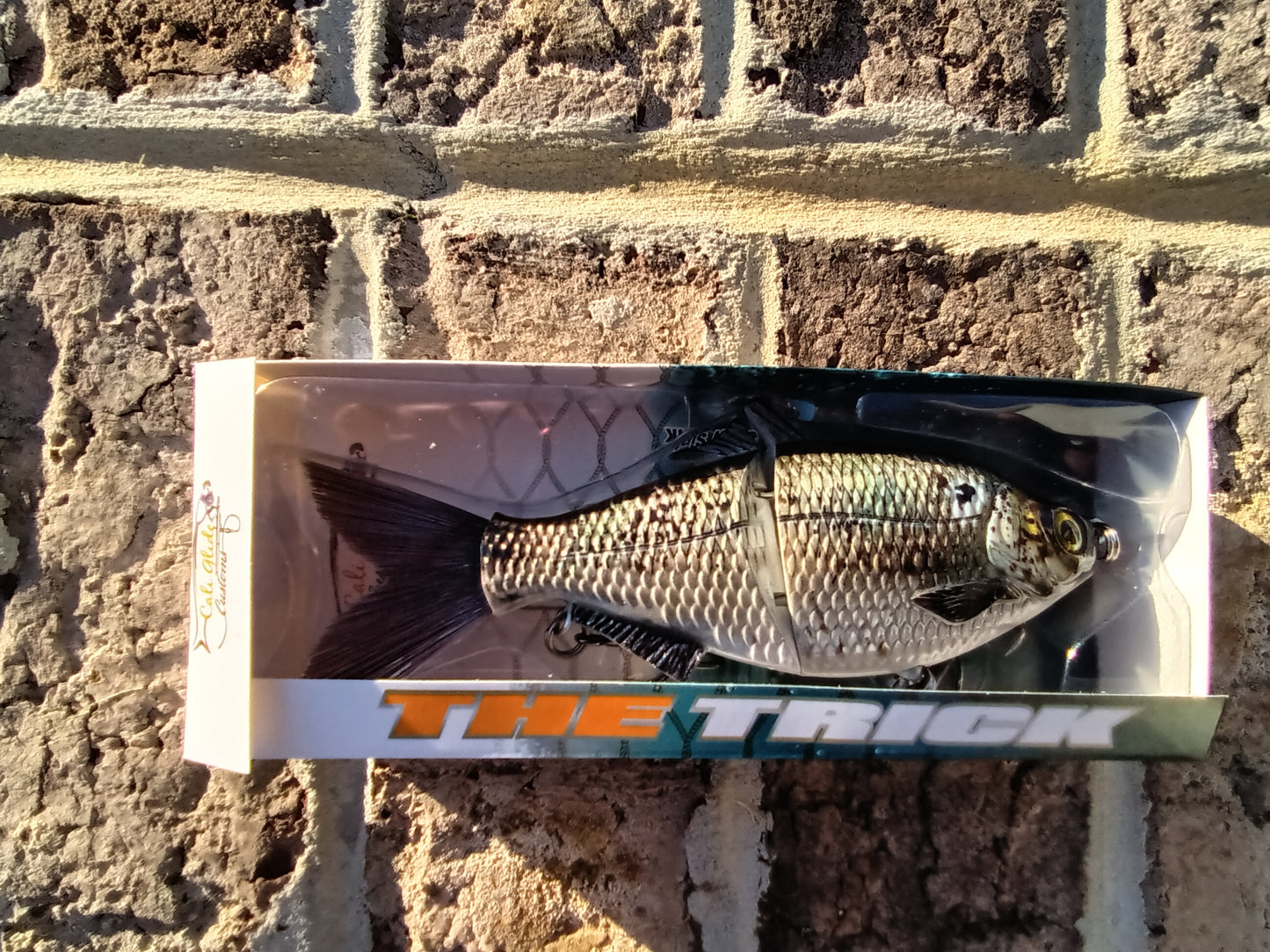 6" The Trick Gizzard Shad Cali Glide Swimbait