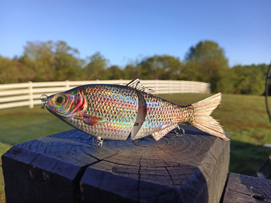 6" The Trick Holographic Trout Cali Glide Swimbait