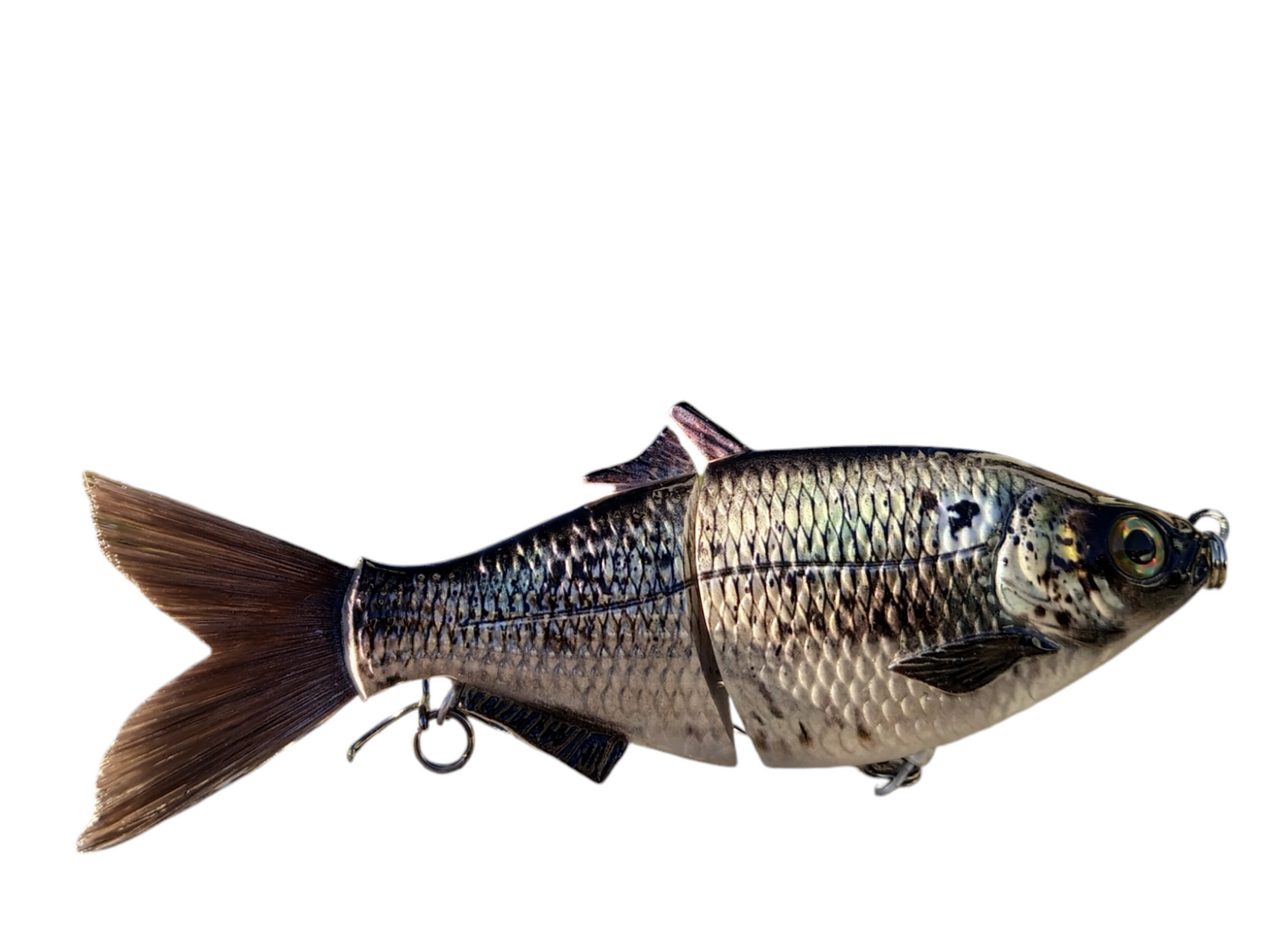 6" The Trick Gizzard Shad Cali Glide Swimbait