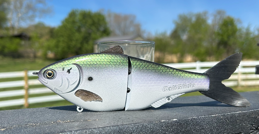 8.5" JMoney Thread Fin Shad Handmade Glide Bait