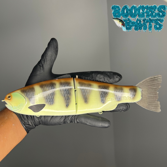 10" CaliGlide Trout (Perch Pattern)