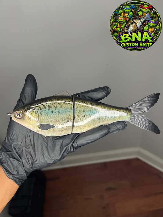 8.5" CaliGlide Jmoney (Crappie Pattern)