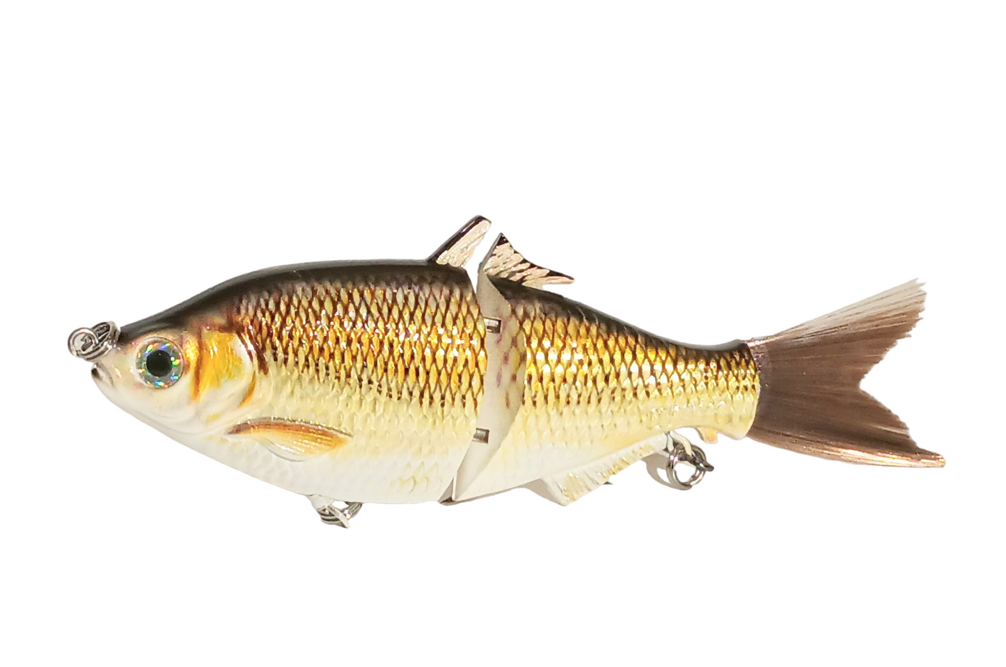 6" The Trick Golden Shiner Cali Glide Swimbait