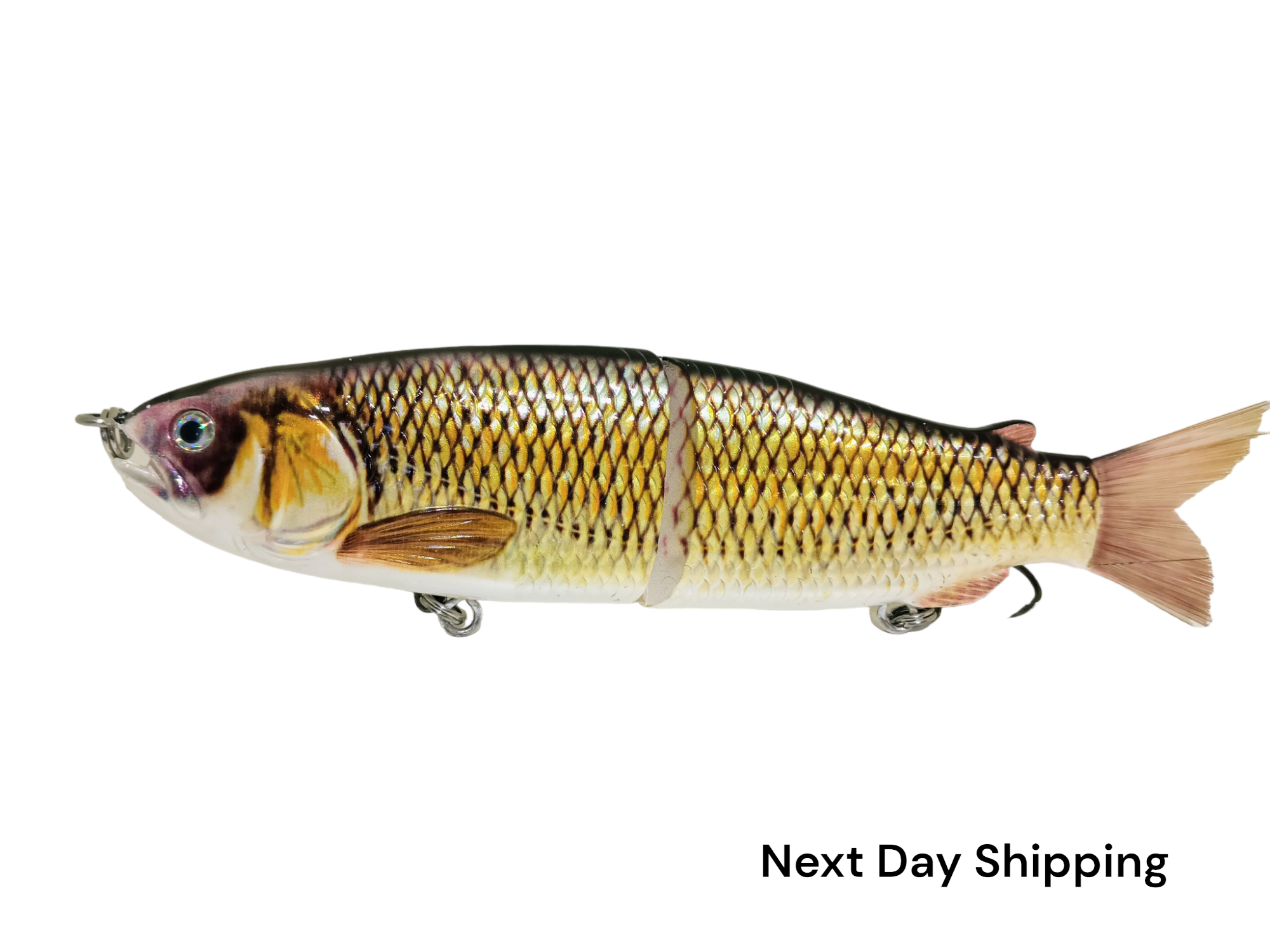 Bait Shop Where Can You Buy Minnows Near Me Golden Shiner Stores