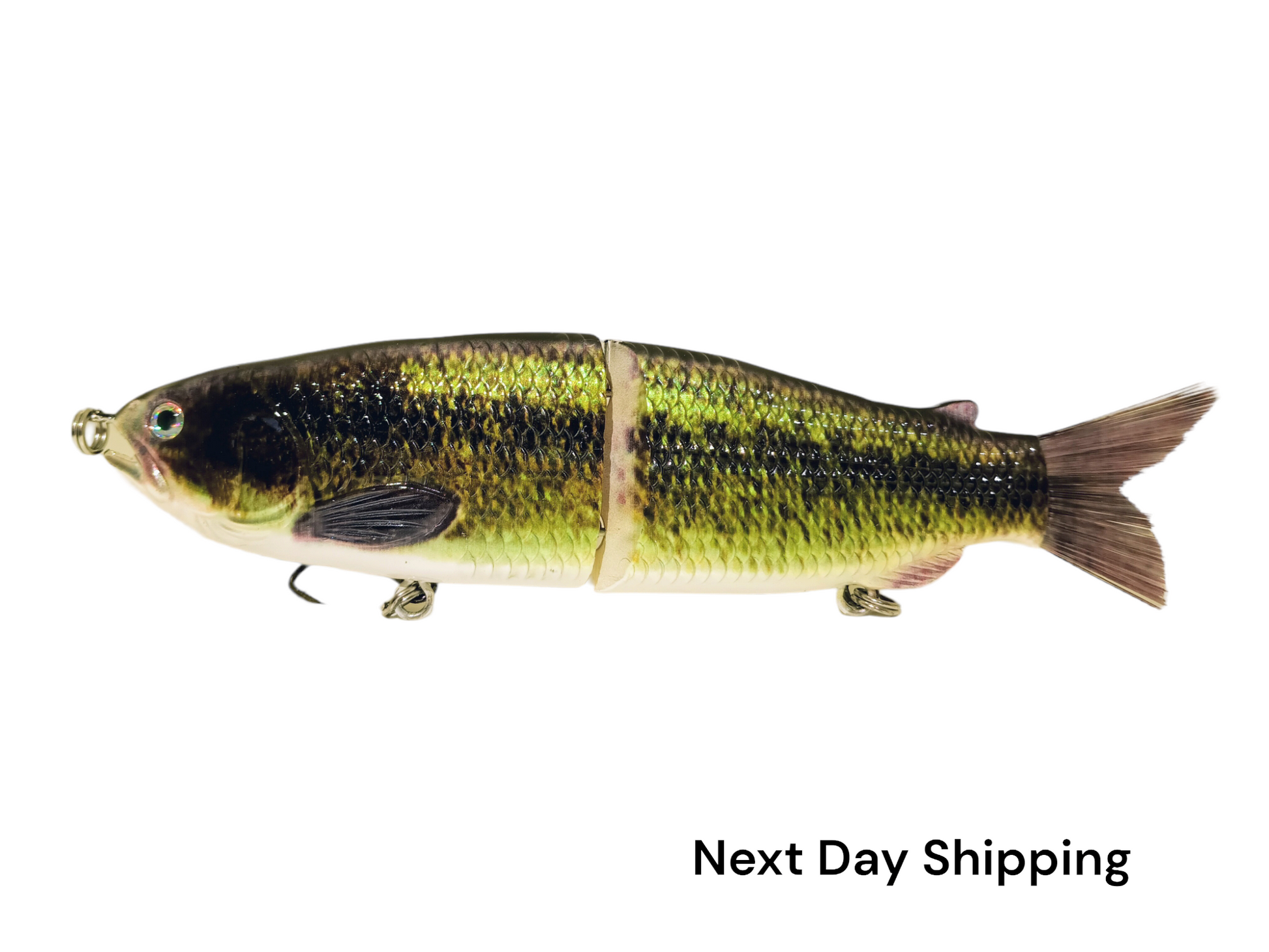 bass following lure TB Tbuymax Fishing Spinner Baits for Freshwater and Saltwater, 10pcs Rooster Tail Fishing Lures & Spinning Spoons, Hard Metal Baits for Trout Salmon with 2 Tackle Boxes : Sports 3 Expert Creek Fishing Techniques