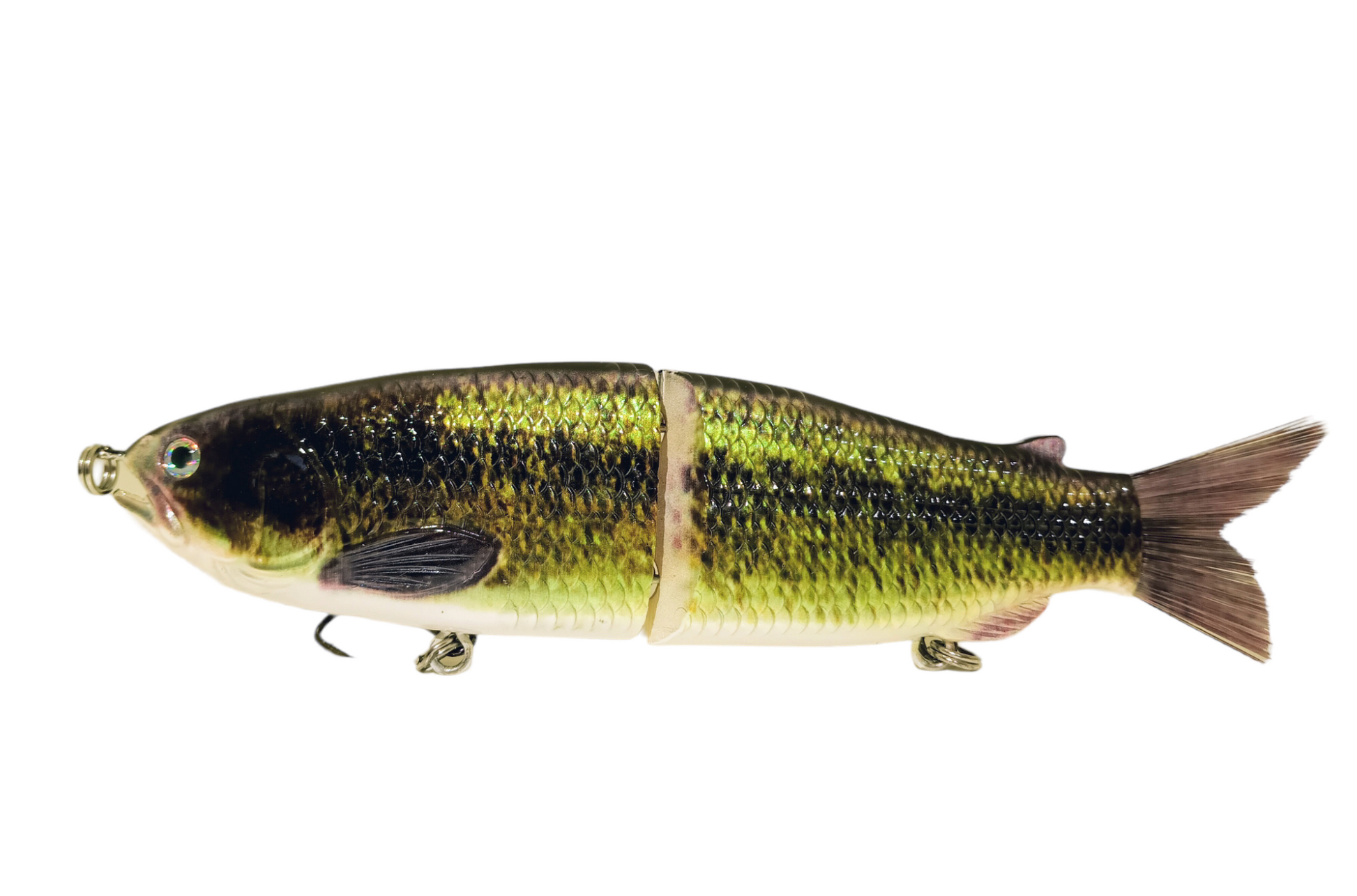 9 The Follow Large Mouth Bass Cali Glide Swimbait – caliglideswimbaits
