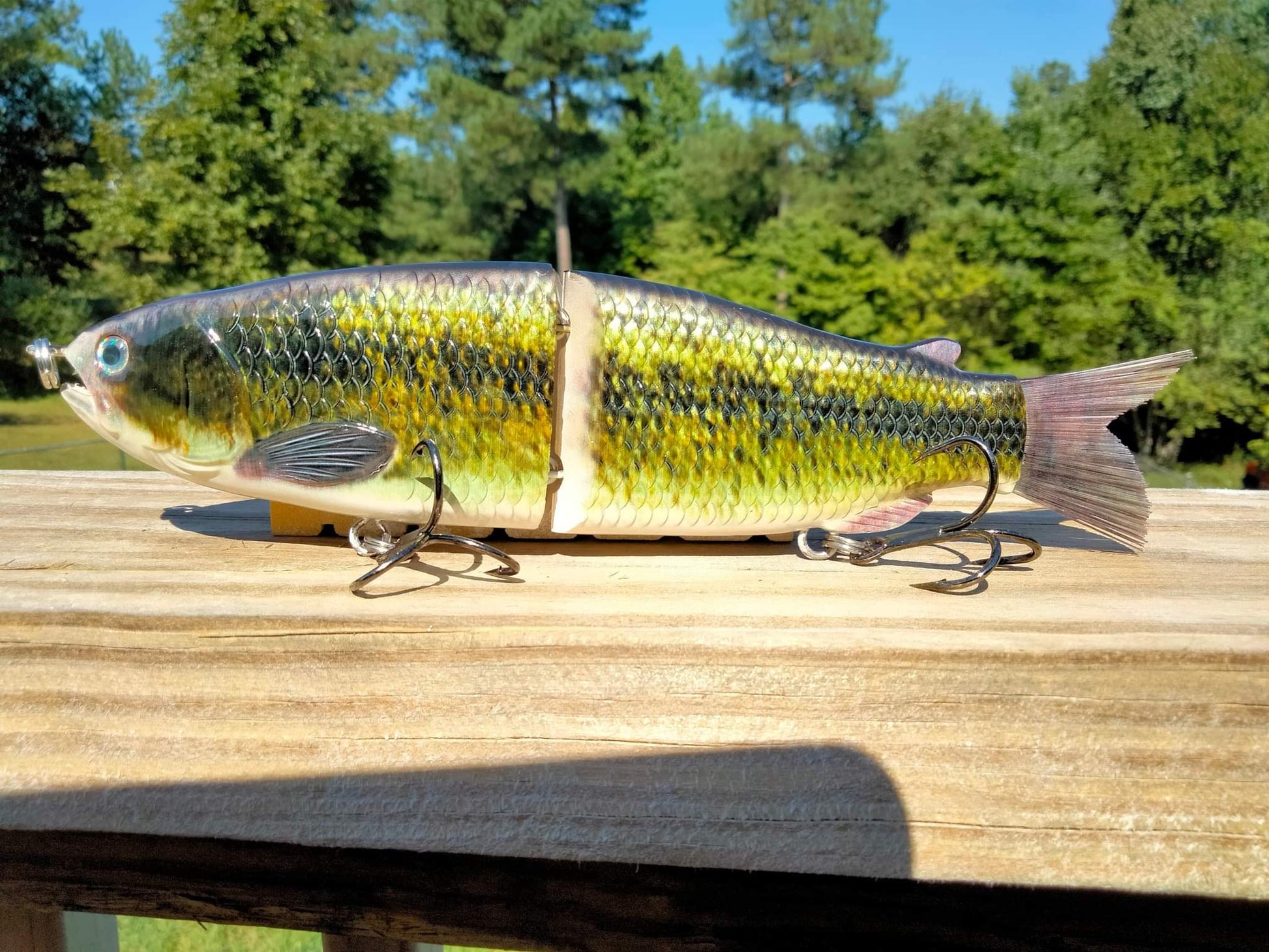 big mouth fishing lures 9" The Follow Large Mouth Bass Cali Glide Swimbait – caliglideswimbaits